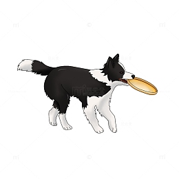 狗狗 卡通画 边牧 小动物
