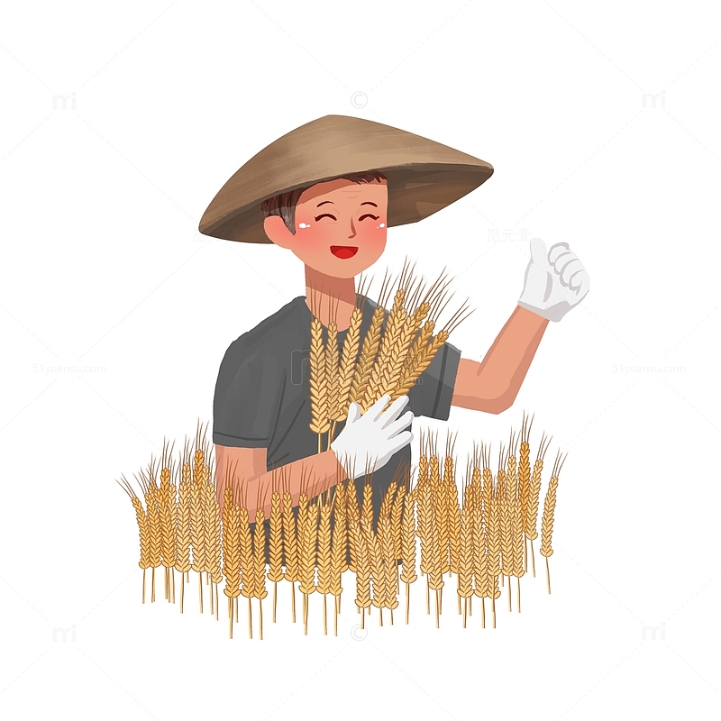 芒种收麦子手绘图