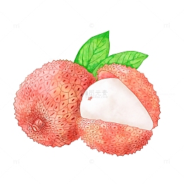 夏天新鲜美味的水彩荔枝插画
