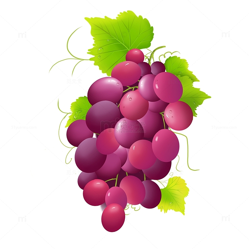 手绘写实逼真水果紫色葡萄提子水果元素