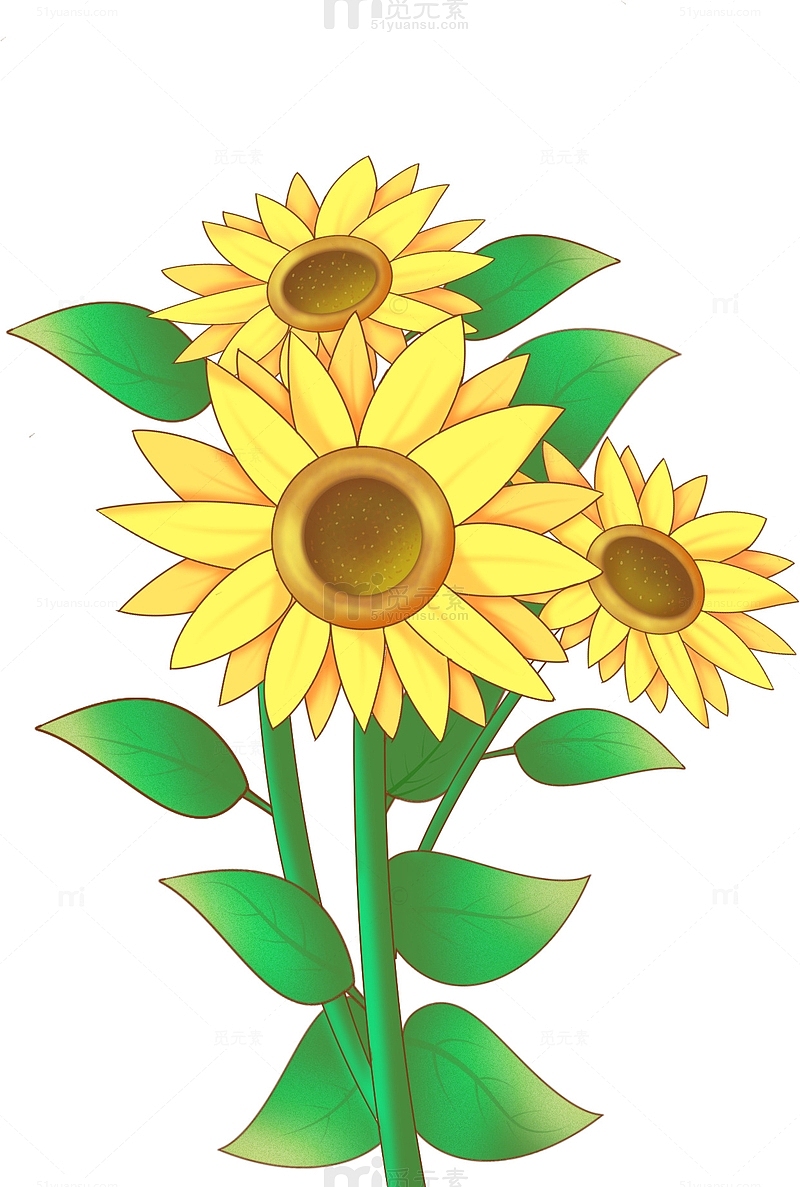 黄色手绘向日葵装饰图案