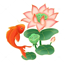 插画手绘国潮夏至荷花鲤鱼跃龙门