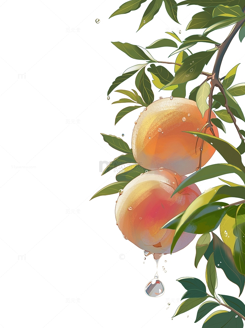 手绘元素水果桃子水蜜桃