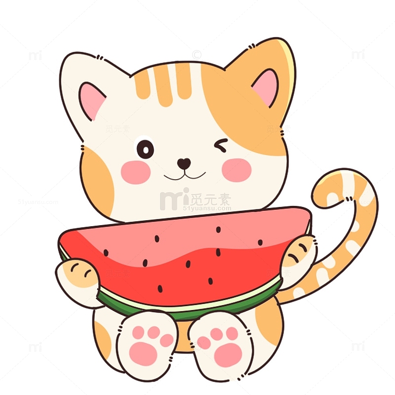 夏天可爱吃西瓜的橘猫