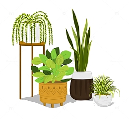 手绘绿色植物盆栽龙舌兰绿萝