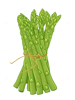手绘芦笋绿色食物元素