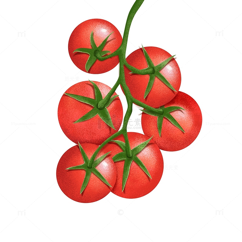 番茄水果蔬菜手绘西红柿