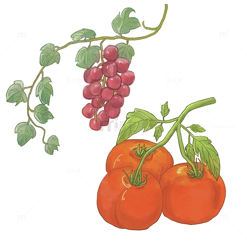 水果蔬菜 番茄 葡萄