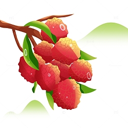小暑水果荔枝插画风装饰夏季美食
