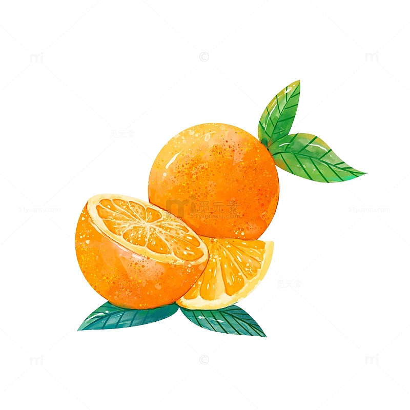 手绘甜甜的橙子