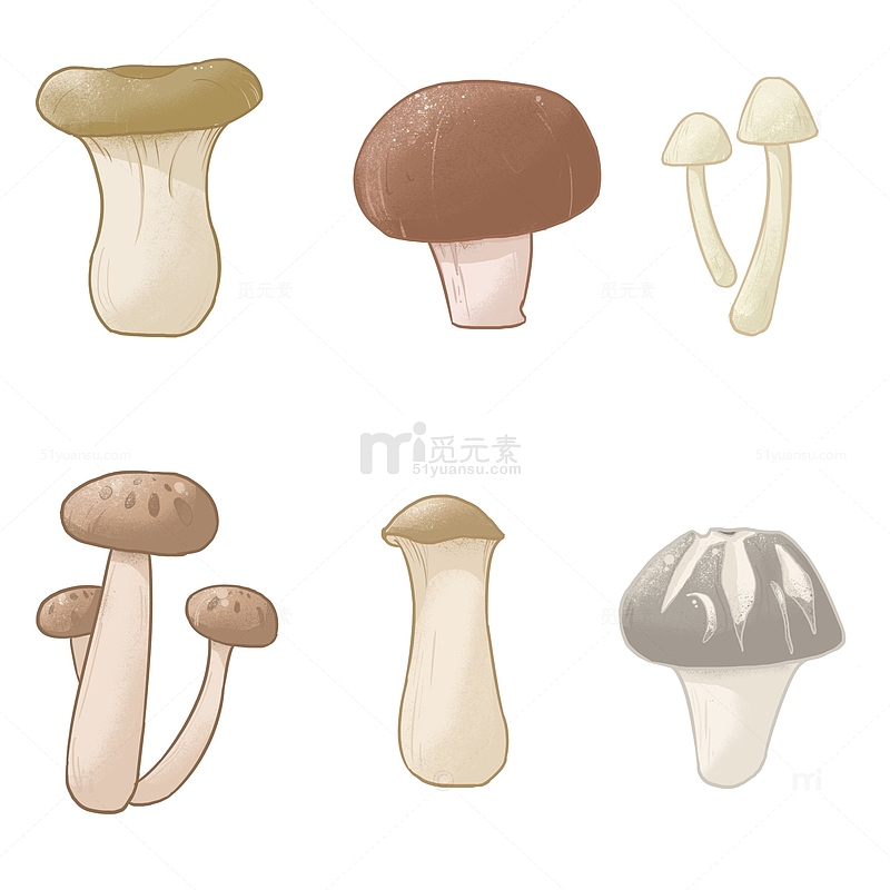 手绘蘑菇蔬菜菌类