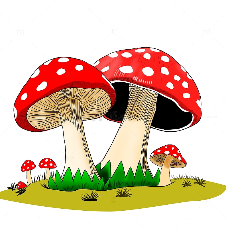 红色斑点蘑菇