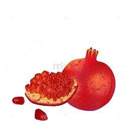 插画手绘元素石榴