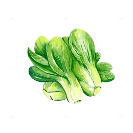 手绘三棵青菜