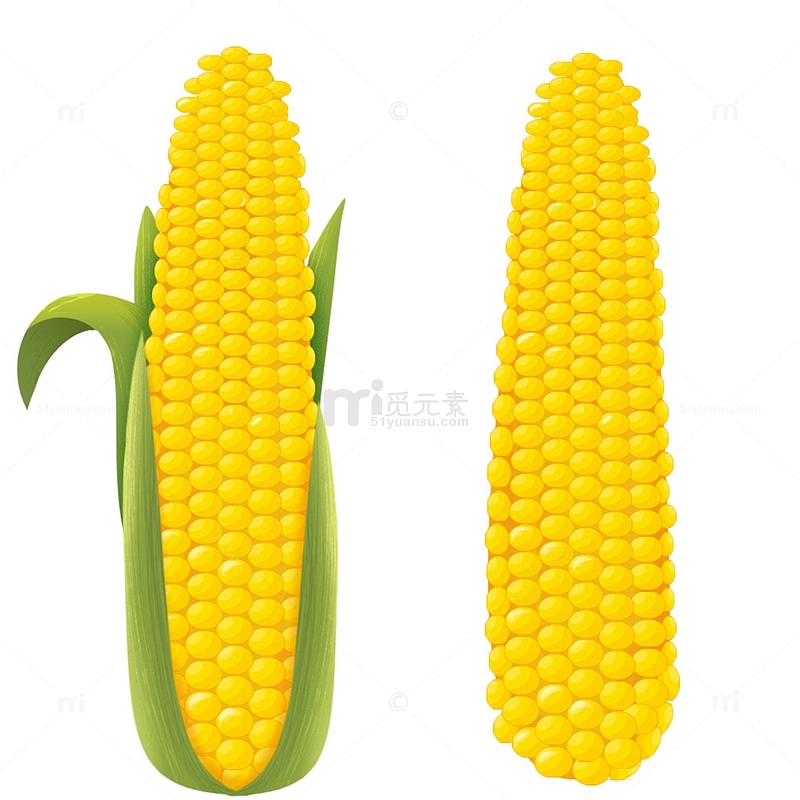 蔬菜黄色玉米元素