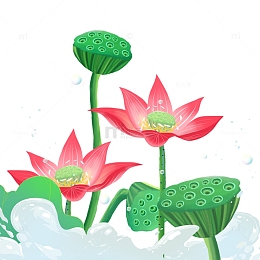 手绘小暑插画荷花元素