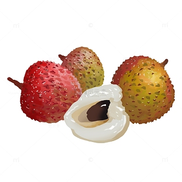 荔枝水果psdpng手绘卡通荔枝psdpng荔枝肉饭psdpng肉片和黄瓜psdpng