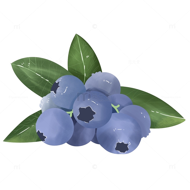 水果蓝莓插画元素