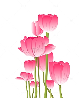 手绘鲜花郁金香