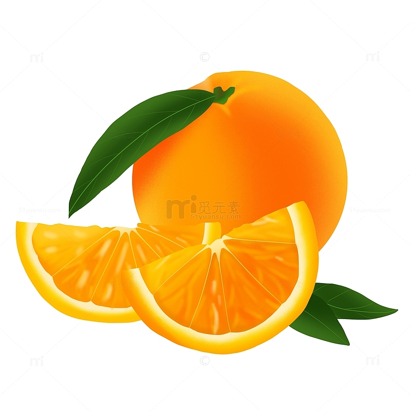 新鲜手绘橙子