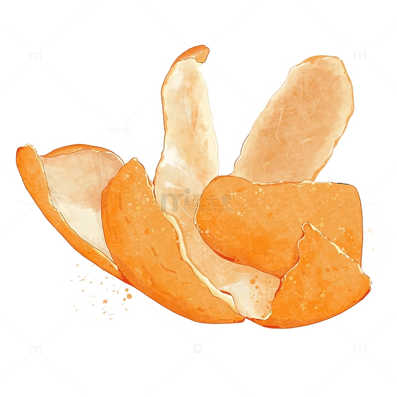 橘子皮橘子陈皮水果橙色手绘水彩