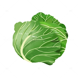 卡通手绘蔬菜包心菜