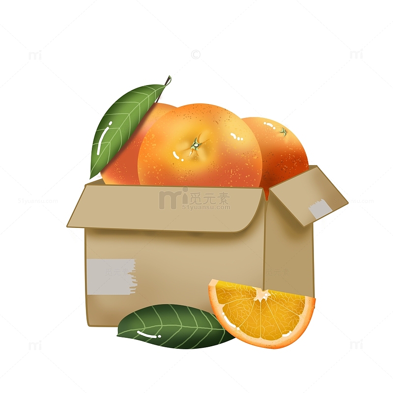 手绘夏日橙子水果