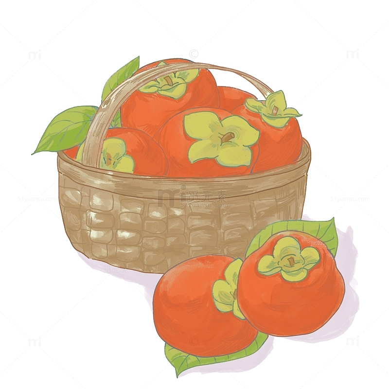 立秋柿子水果