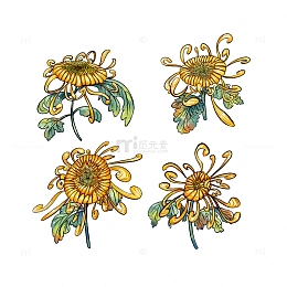 手绘金色秋菊