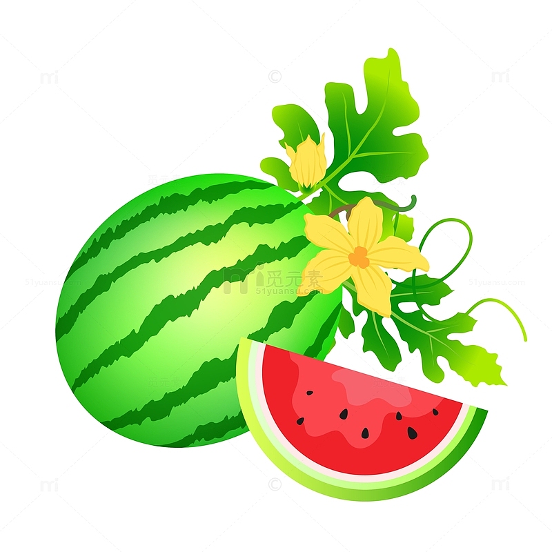 卡通夏季水果西瓜矢量元素