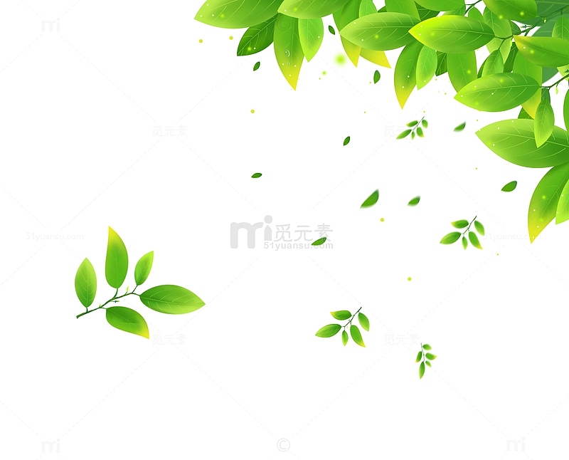 夏天翠绿色叶子漂浮边角海报边框装饰元素