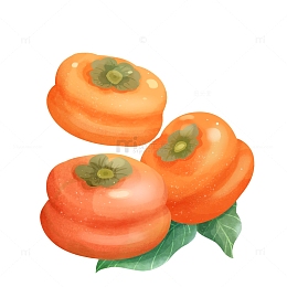 立秋柿子元素插画