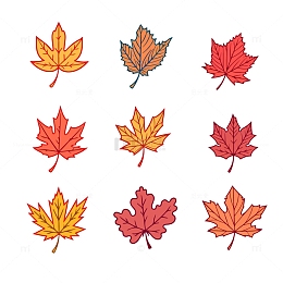 秋天枫叶扁平图标