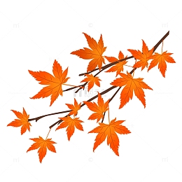 红色渐变立秋枫叶矢量元素