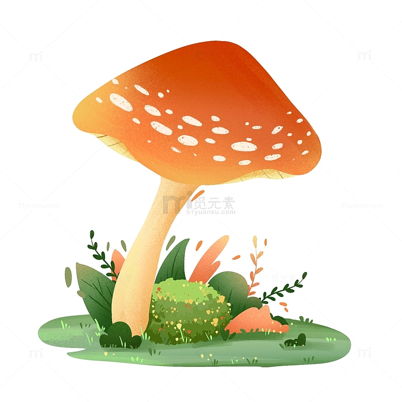 手绘卡通蘑菇插画小场景植物绿植装饰元素