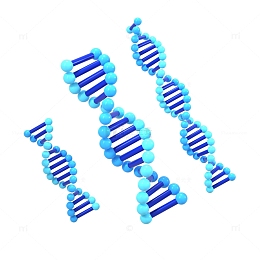 3D立体NDA细胞免扣