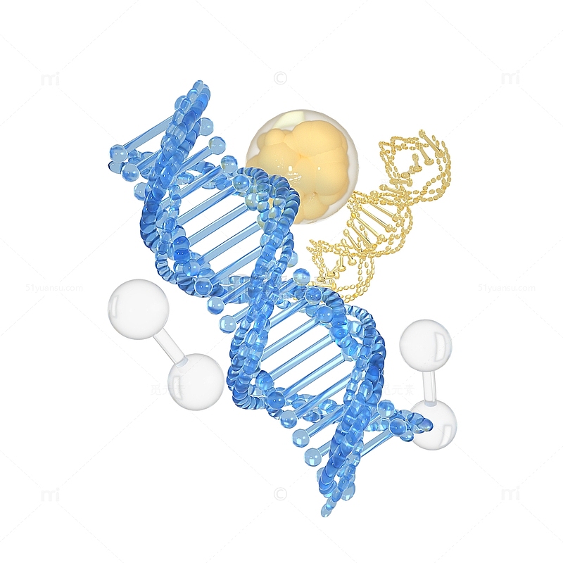 3D立体护肤原生DNA细胞结构