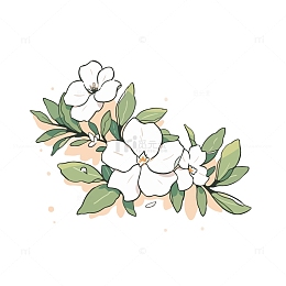 栀子花矢量插画