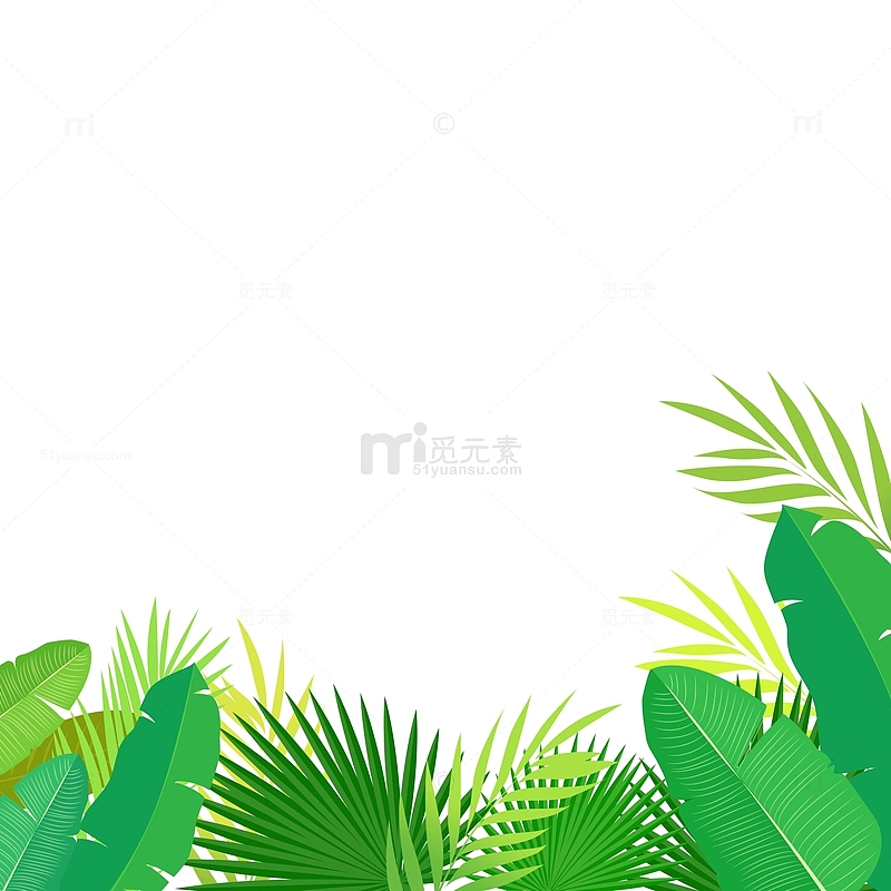 夏季热带植物草丛树叶装饰矢量边框