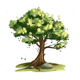 手绘大树茂盛绿植草坪户外落叶元素