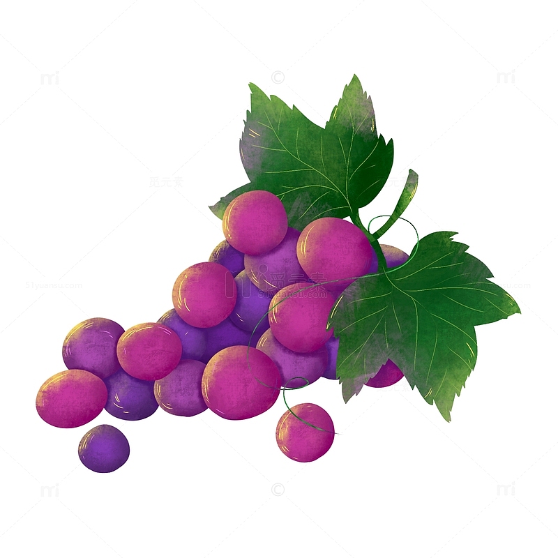 手绘紫色葡萄水果肌理插画元素