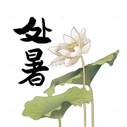 古典水墨工笔风格白莲处暑荷花