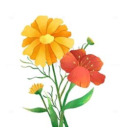 手绘小清新春天花朵绿植植物插画肌理元素