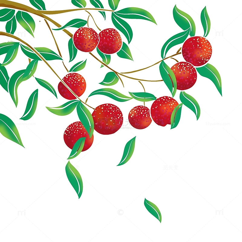 水果插画红色李子元素