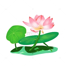 荷花荷叶元素处暑元素植物元素手绘元素