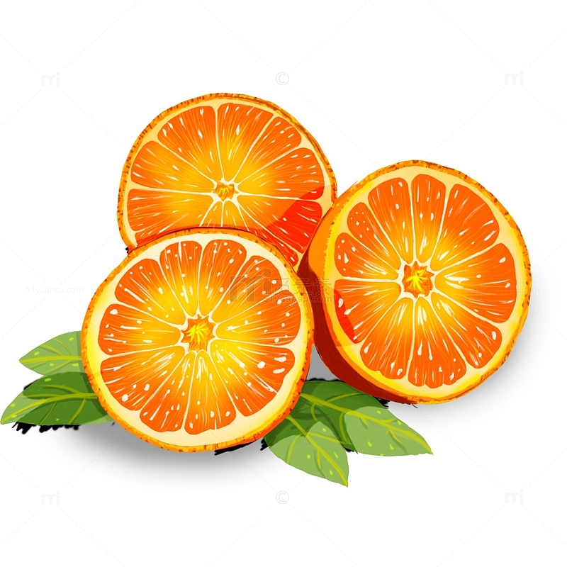 美味手绘柑橘元素