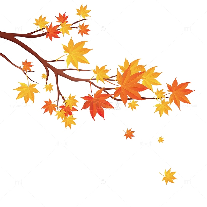 秋天红色枫树枫叶矢量插画元素