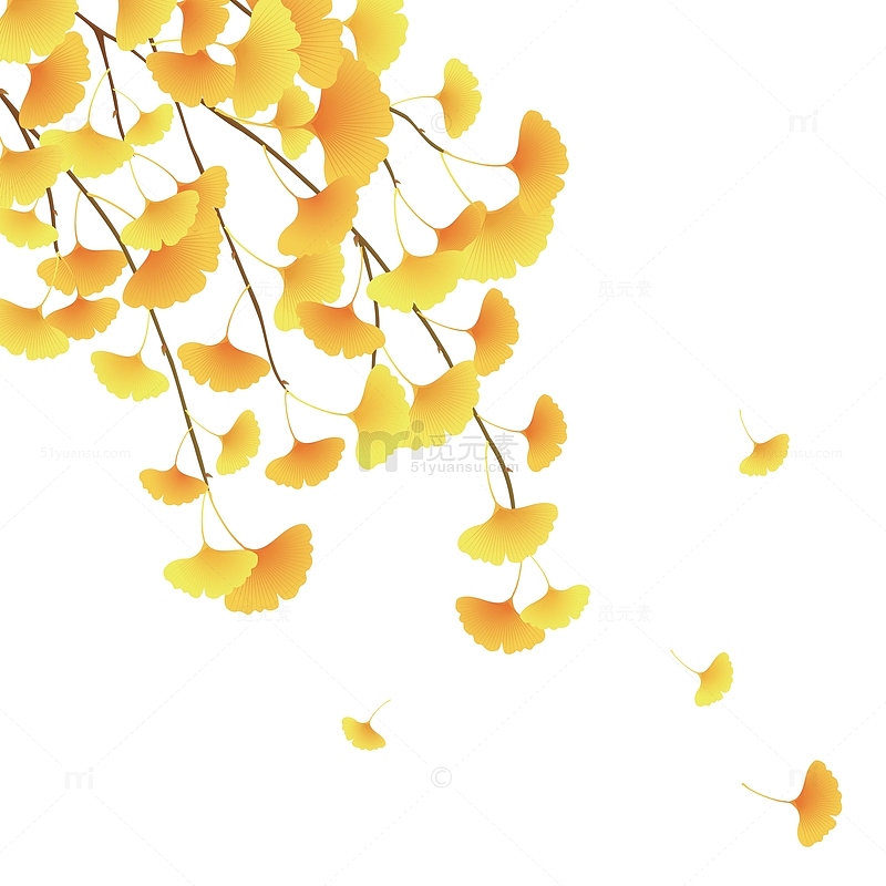 秋天银杏树叶装饰矢量插画元素