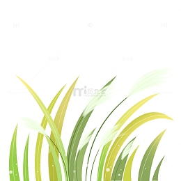 芦苇花草白露元素