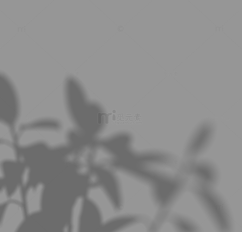 光影斑驳 植物投影 背景装饰（大尺寸）